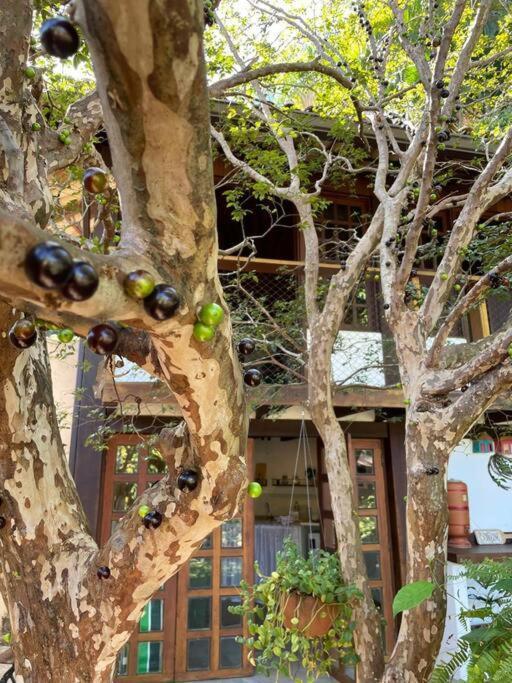 Challet No Jardim Rio de Janeiro