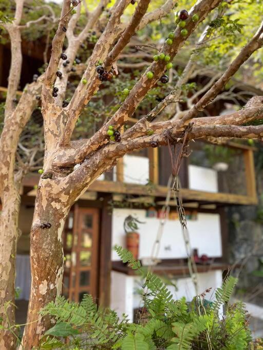 Challet No Jardim Apartment Rio de Janeiro